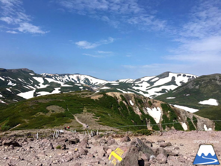 7月でも滑れる！大雪山黒岳～北鎮岳、残雪スノーボード滑走♪